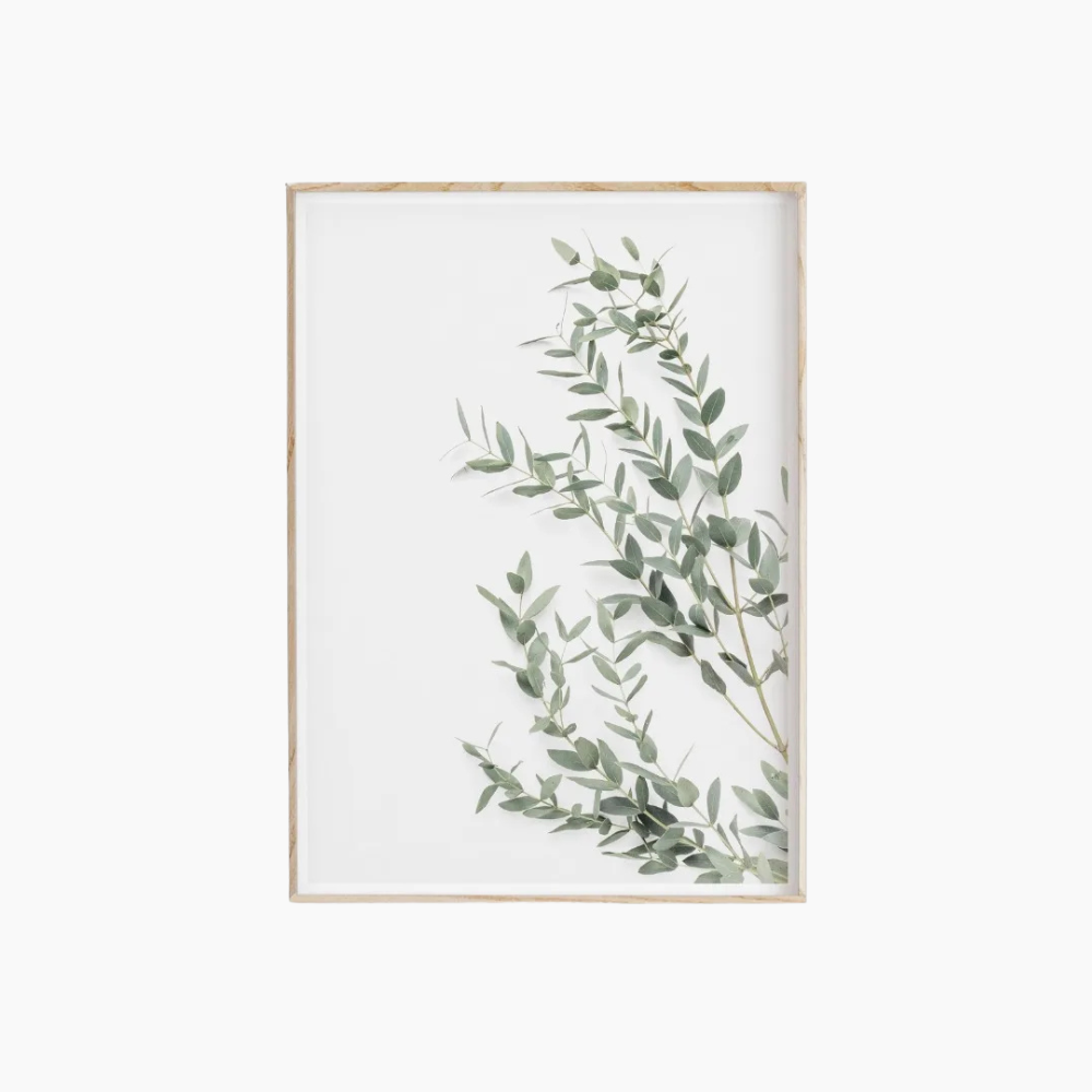 FLORALIS Väggposter i Canvas