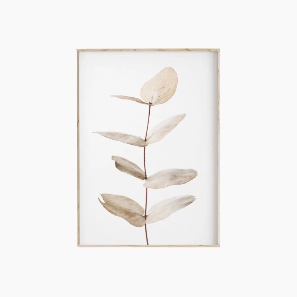 BOTANICA Väggposter i Canvas