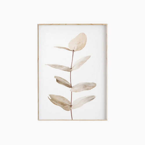 BOTANICA Väggposter i Canvas