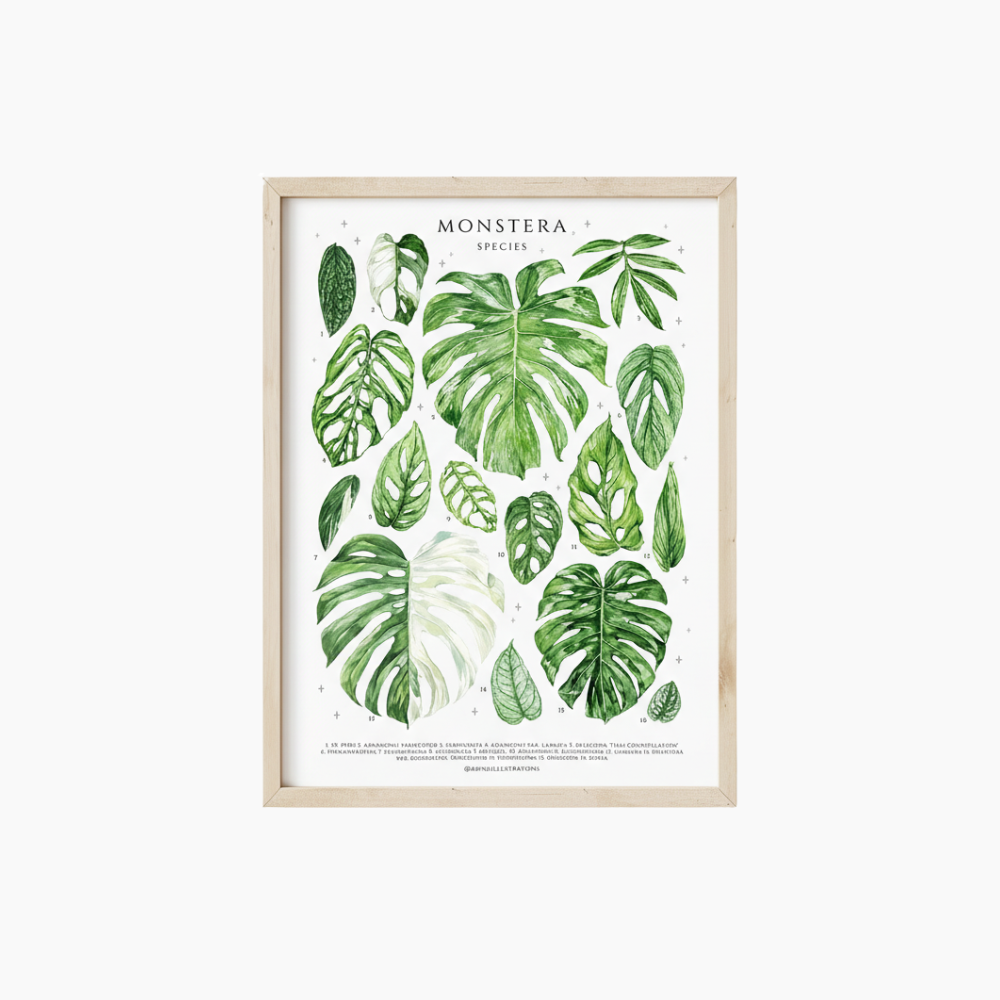 MONSTERA Väggposter i Canvas