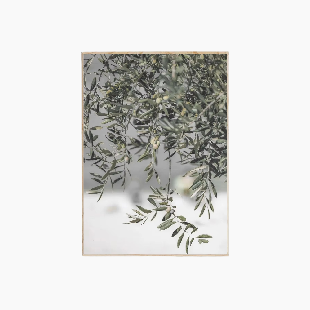 OLIVO II Väggposter i Canvas