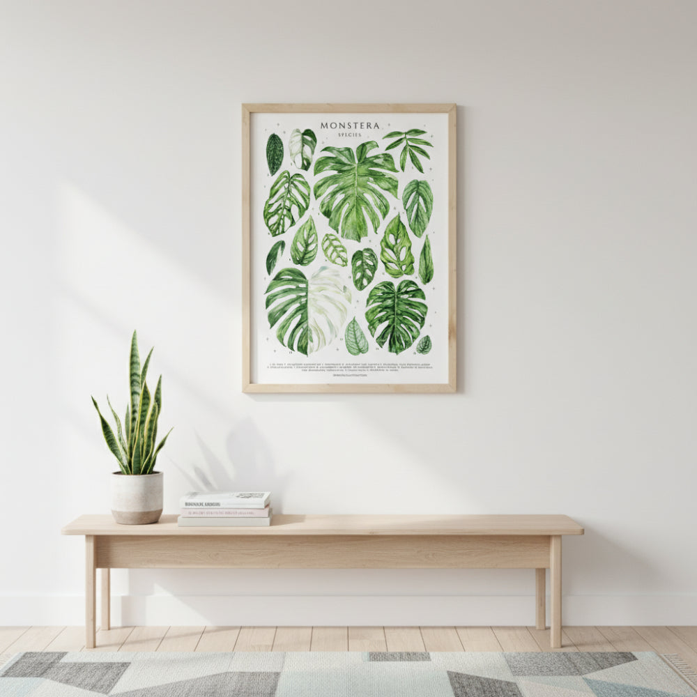 MONSTERA Väggposter i Canvas
